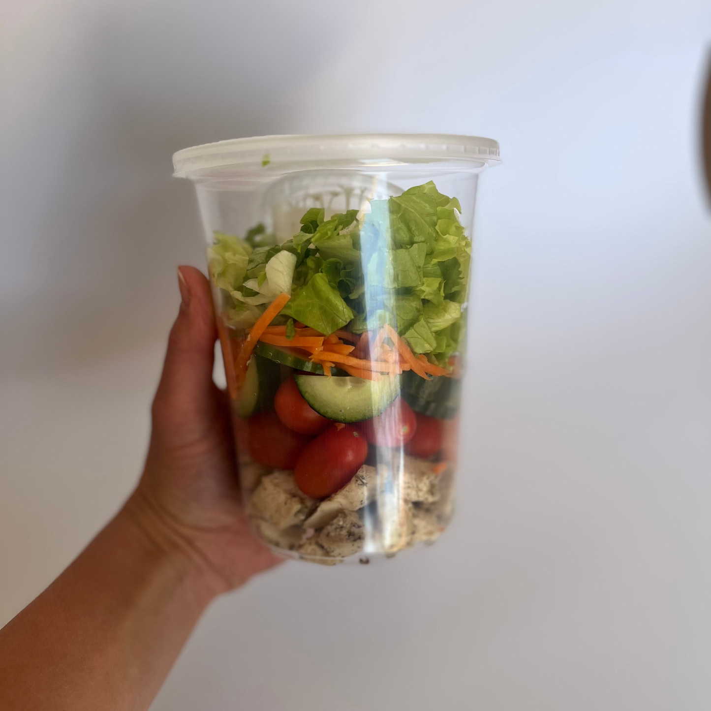 Garden Salad w/ Chicken